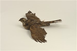 Image description is not available for 1983.82.1